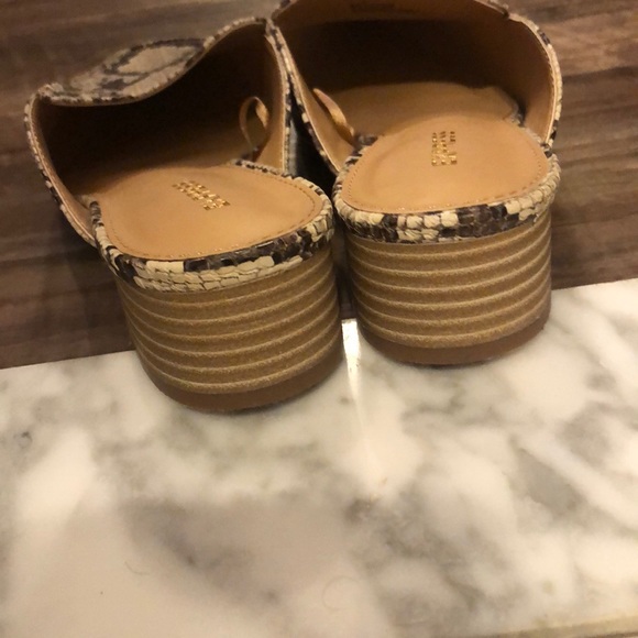 Express loafers - Picture 3 of 4